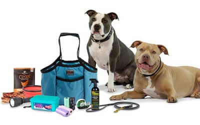 5 Reasons Why Every Dog Owner Needs a Dog Diaper Bag?