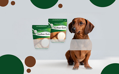 Is Xanthan Gum Safe For Dogs