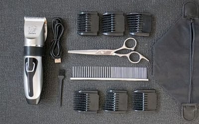 Best Dog Clippers for Effortless and Precise Grooming