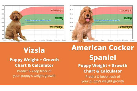 Puppy Growth Chart Calculator By Breed | Bone Voyage Dog Rescue