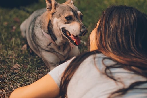 Femme allongée à côté d’un chien adulte gris et beige