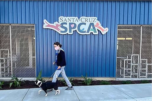 SPCA Santa Cruz