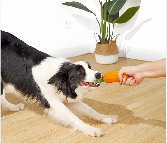 Carrot Dog Toy