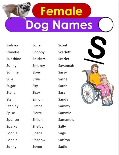 dog names that start with S 