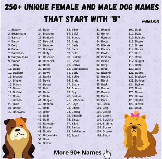 dog names that start with B