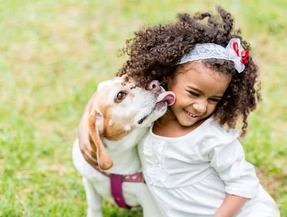 train your dog to be safe with kids