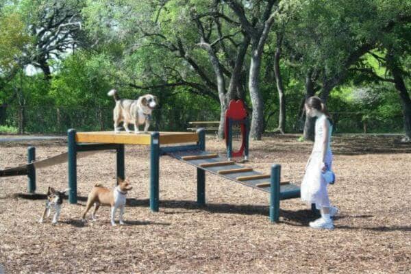 Dog Park San Antonio
