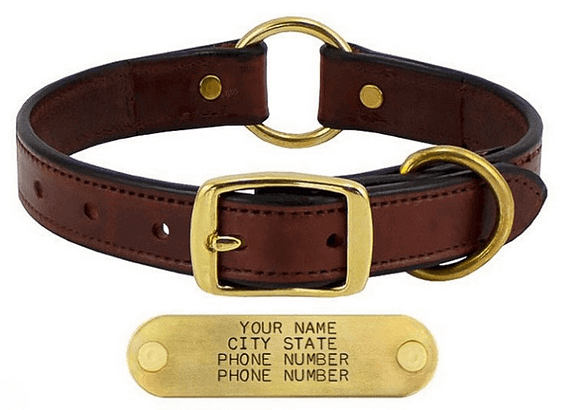 dog collar with name plate
