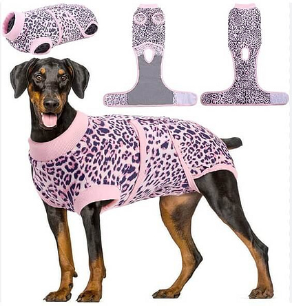 dog recovery suit