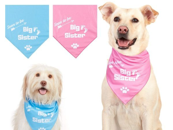 big sister dog bandana , dog bandana