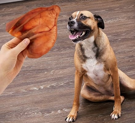 pig ears for dogs 