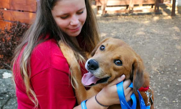 Norco Animal Shelter: Unleash Happiness Today 2023