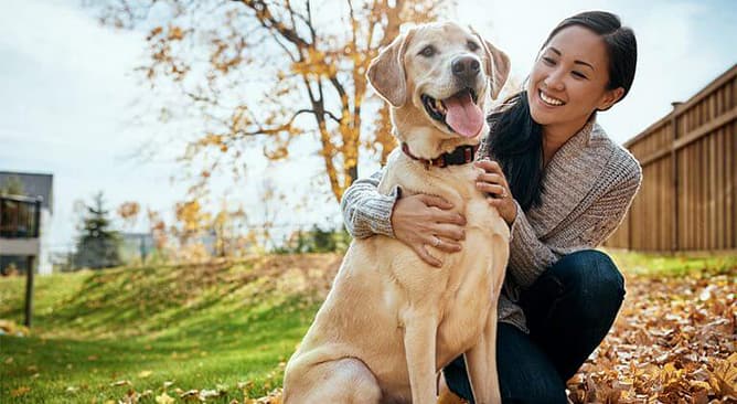 Unleashed joy woman with dog
