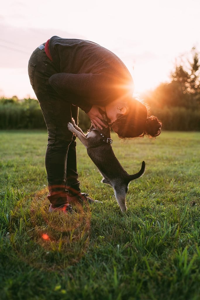 SPCA of Wake County Photo of Person Kissing a Dog on Grass Field