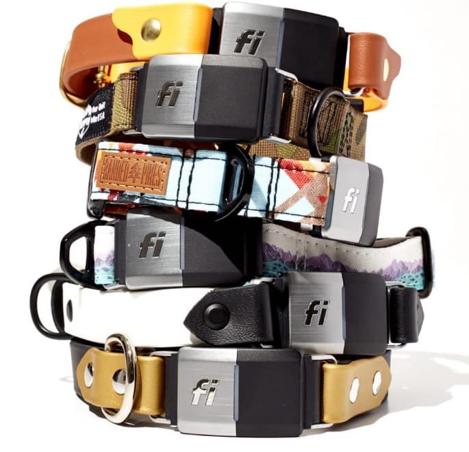 The Ultimate Fi Dog Collar For Safety And Adventure