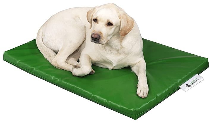 Indestructible Dog Bed
