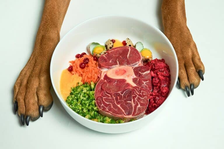 Dog Raw Diet