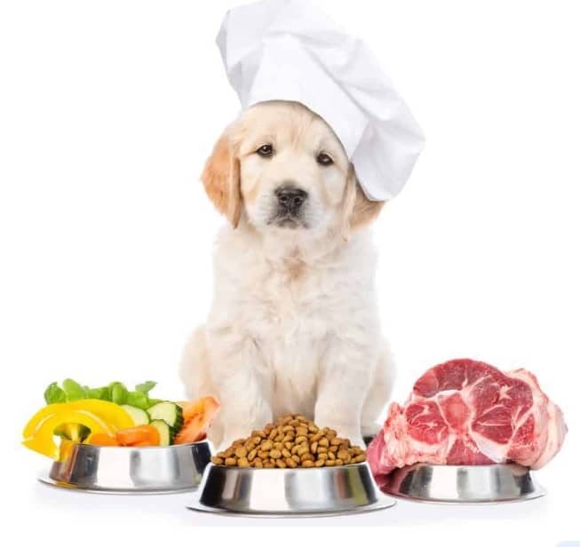 vitamins for homemade dog food