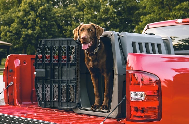 gunner kennels