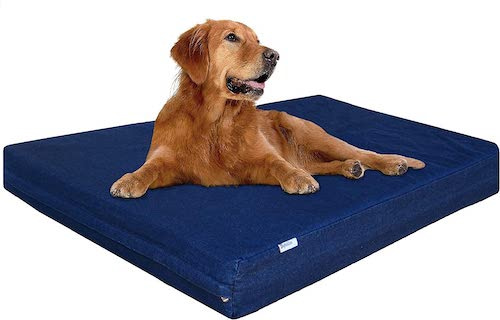 Indestructible Dog Bed