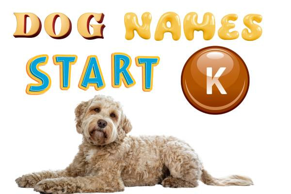 Dog Names That Start With K