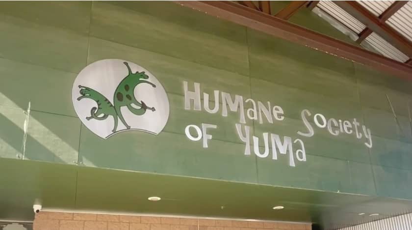 humane society of yuma