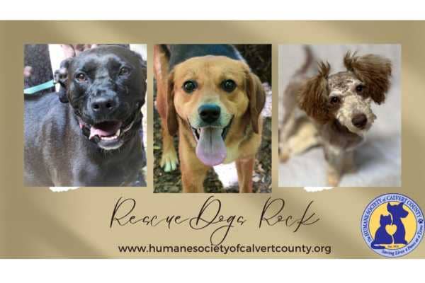 Calvert County Humane Society 