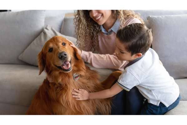 Teaching Kids to Be Responsible Pet Ownership