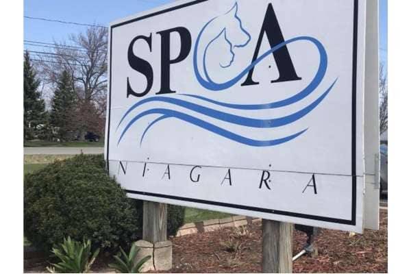 Niagara County SPCA