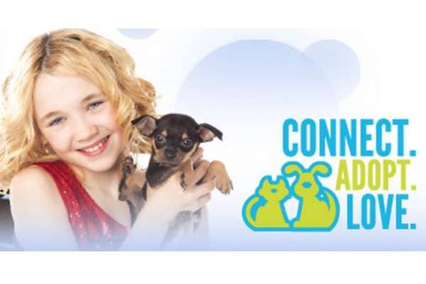 Miami-Dade Animal Services Pet Adoption and Protection Center