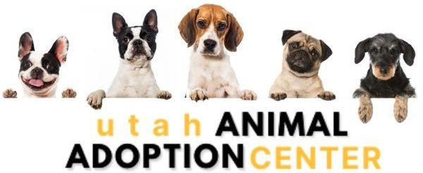 animal shelters in Utah
