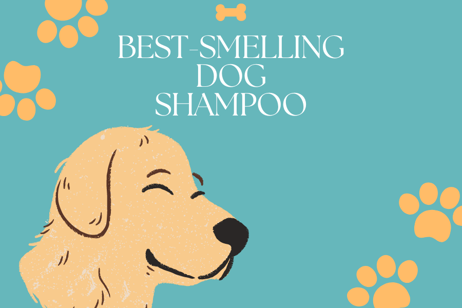 Best-Smelling Dog Shampoo Content Image