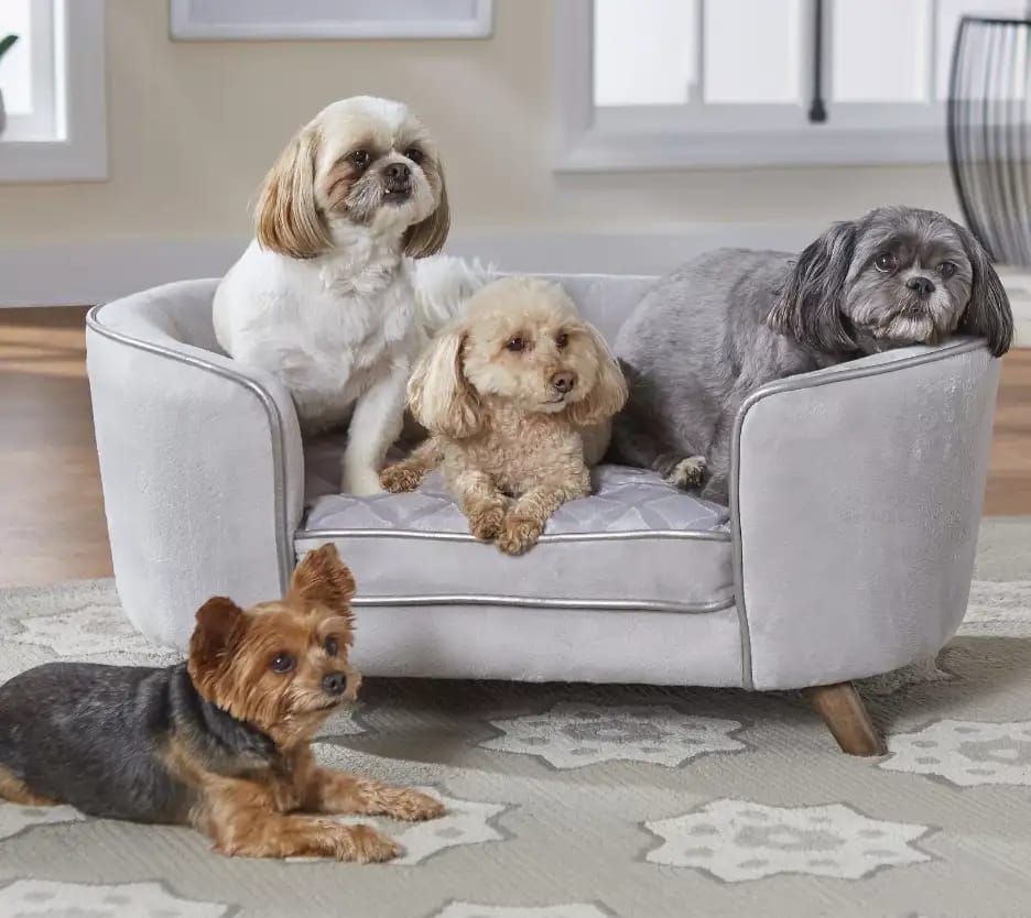 dogs seating comfortable on their dog sofa