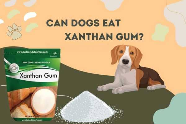 Is Xanthan Gum Safe For Dogs