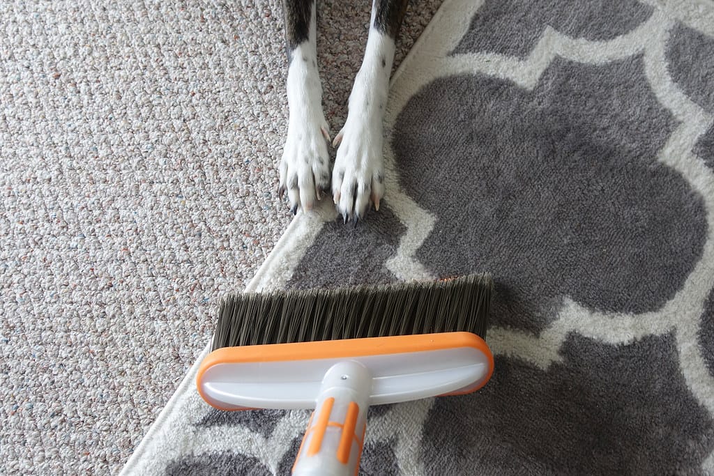 5 Best Broom For Dog Hair Bone Voyage Dog Rescue