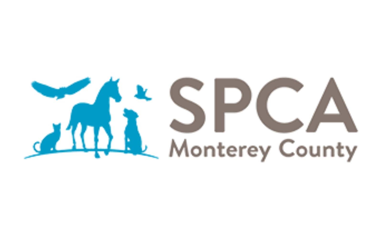 SPCA Monterey County Giving Furry Friends Forever Homes Bone Voyage   SPCA Monterey County 