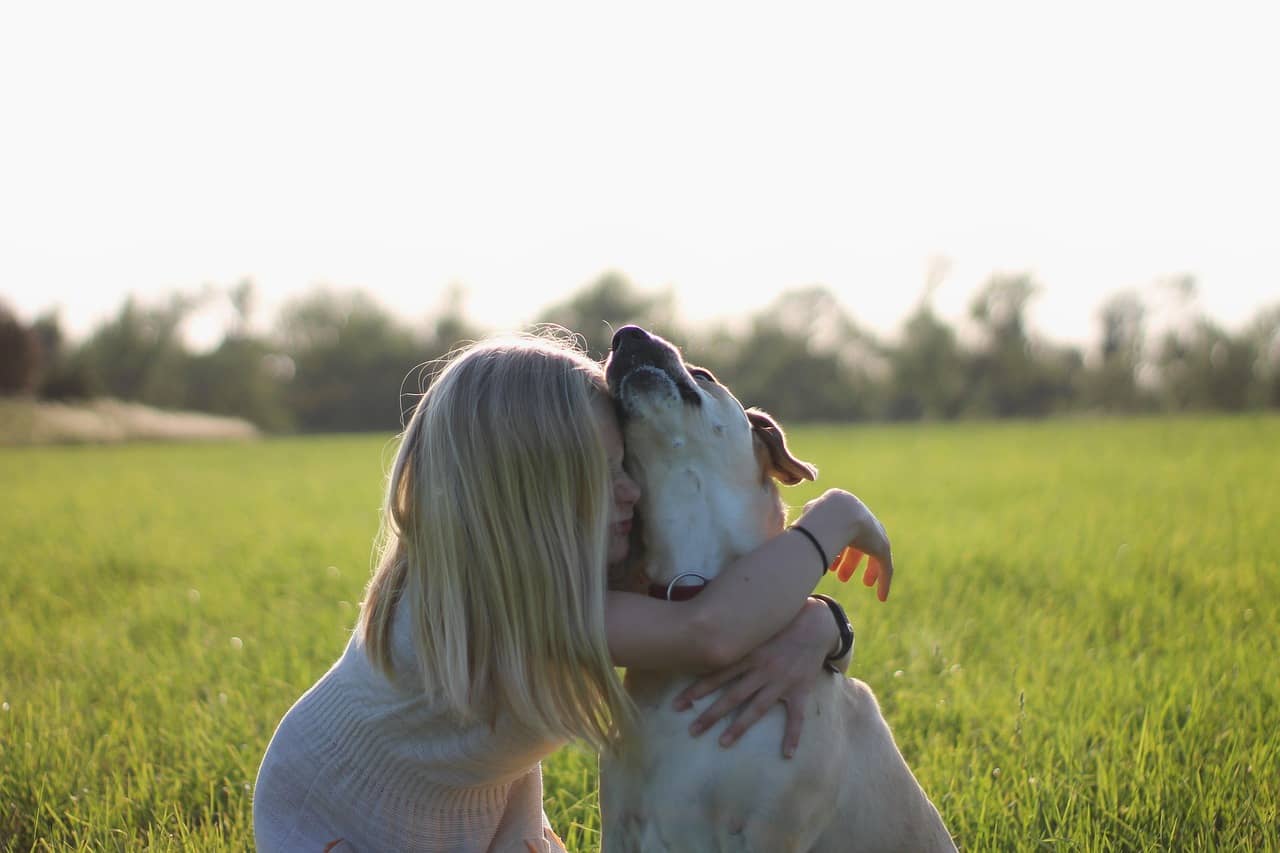 The Surprising Benefits Of Cuddling With Dogs | Bone Voyage Dog Rescue