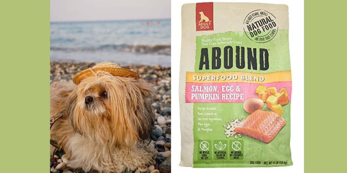 Abound Superfood Blend Natural Adult Dog Dry Food - Salmon, Egg ...