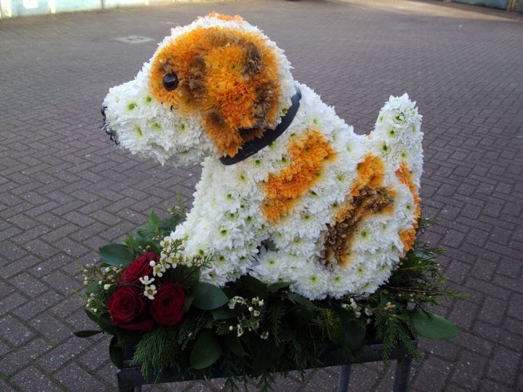 Dog Flower Arrangements