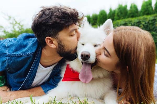 Millennials Adopt Dogs 