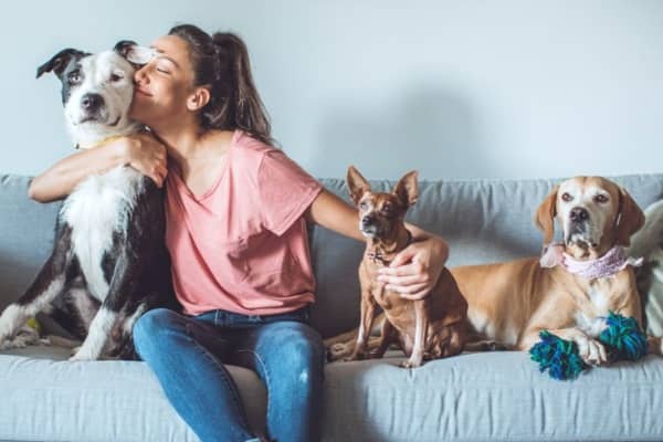 Millennials Adopt Dogs