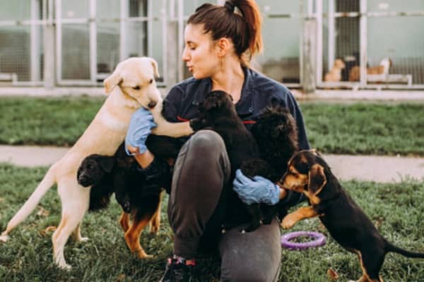Reading Programs in Dog Rescues 