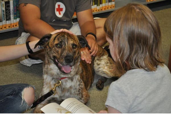 Reading Programs in Dog Rescues