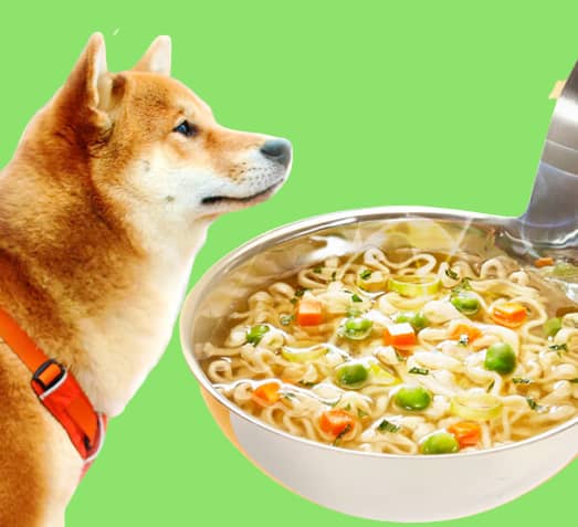 are instant noodles bad for dogs