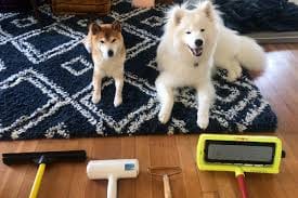 Broom For Dog Hair