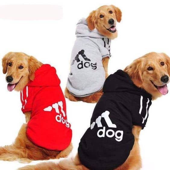 dog hoodies 
