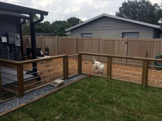 best electric dog fence