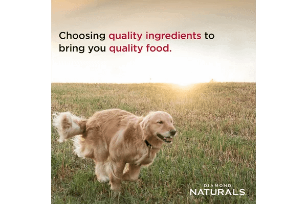 Diamond Naturals Dry Food for Adult Dog content image3