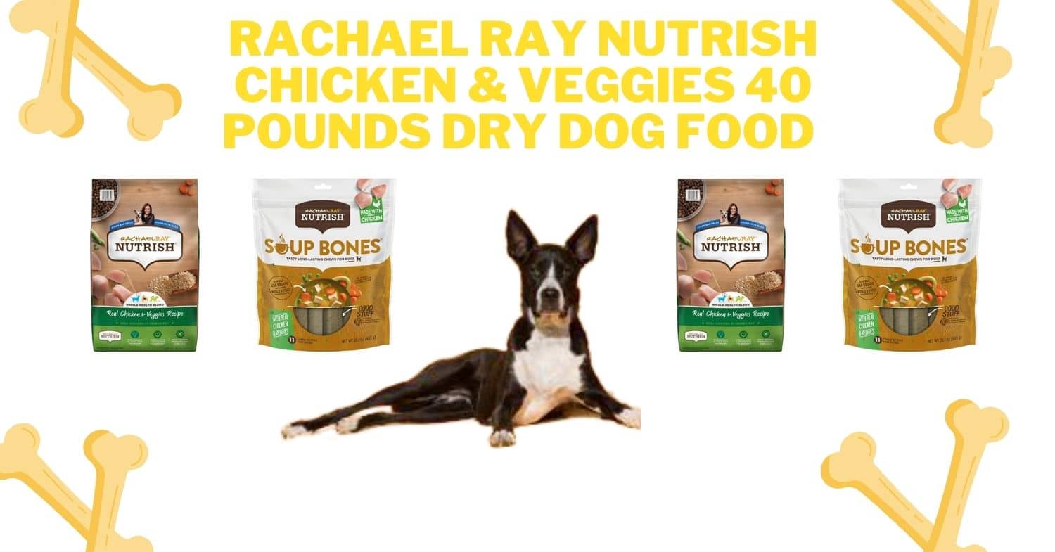 Rachael ray dog treats recall best sale