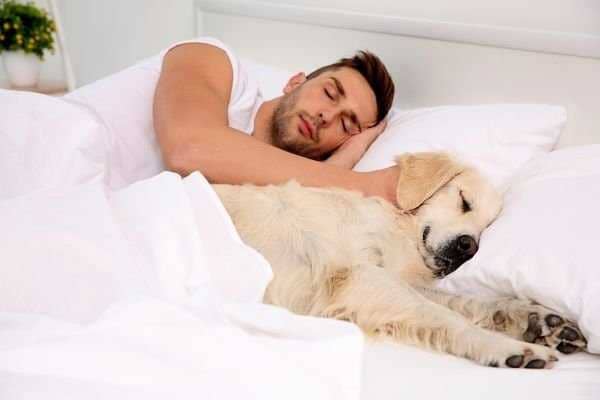 Dog sleep duration